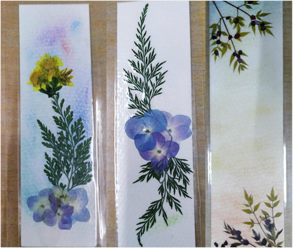 剪几枝花 晒干后压一压 就是一幅画 腾讯新闻