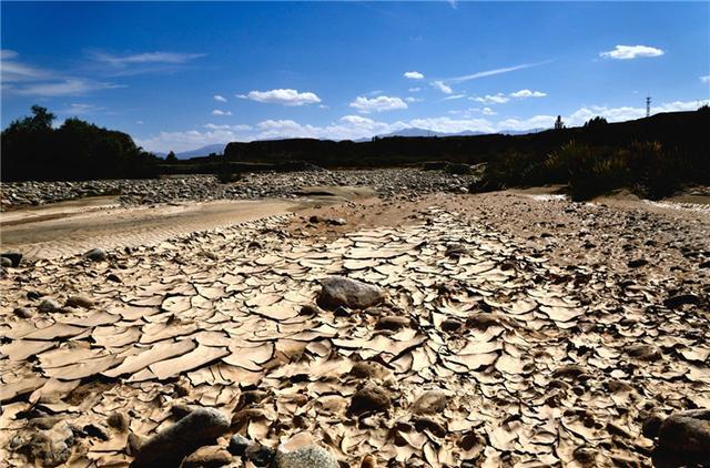 河马栖息地被破坏,无奈躲进人类的泳池,房主:打算强行吃穷我?