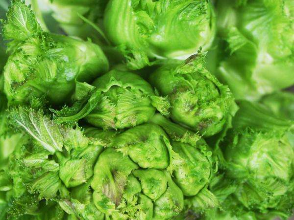 这几种蔬菜南方特有当地人甘之如饴,北方不一定有,可能还吃不惯_腾讯