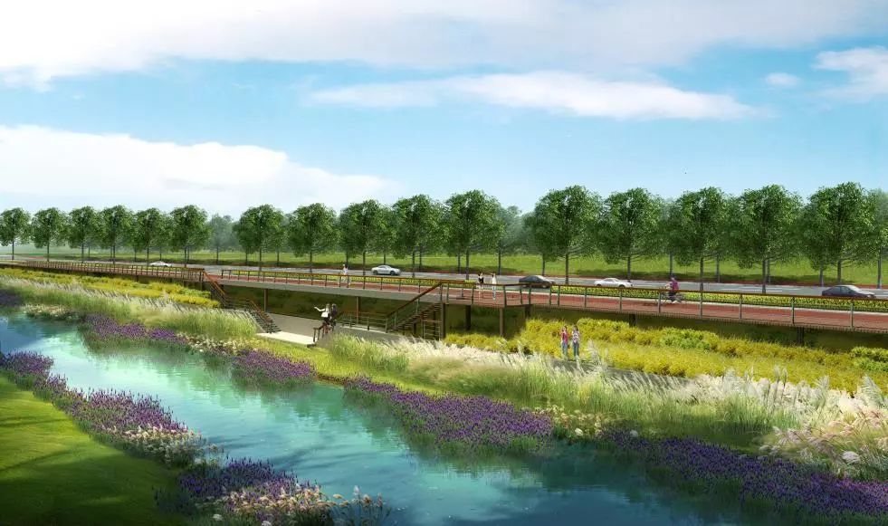 自贸区烟台片区系上"绿丝带" 六大湿地公园串起绿化生态廊道