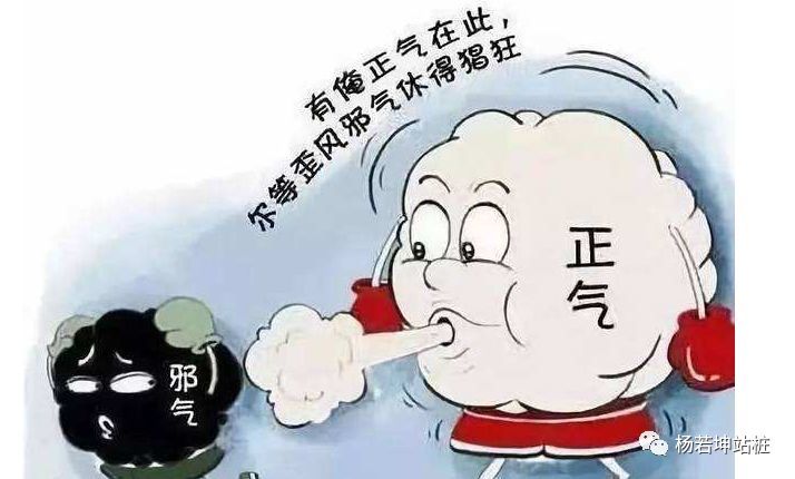 站樁越站越難受是怎麼回事站樁的排病反應