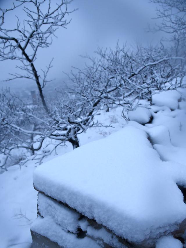 枣庄下雪啦2020年的第一场雪很美