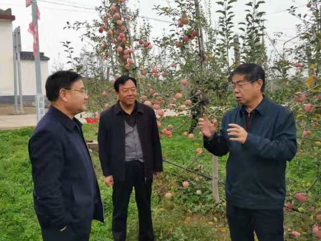 张鸿访谈：以数字经济高质量发展竞合未来_腾讯新闻