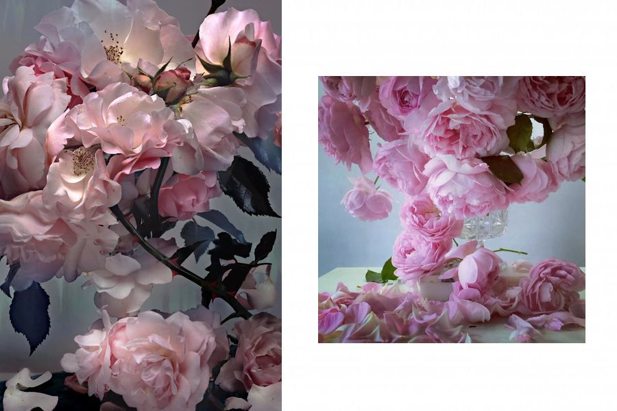 帮mcqueen直播给英女王拍照被rafsimons致敬