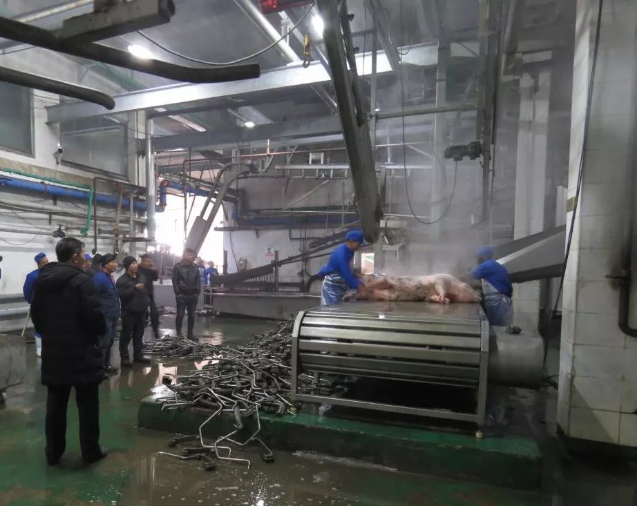 招商引资又结硕果梨树华统生猪屠宰加工生产线试运行
