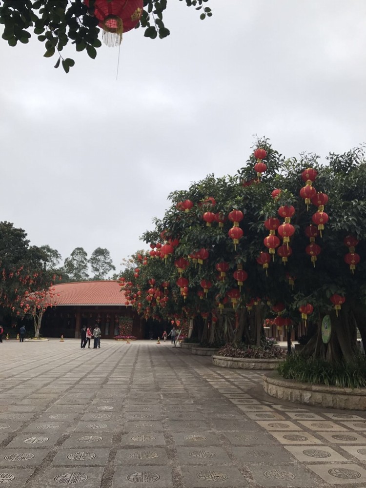 梅州雁南飞茶田景区5a保住了 腾讯新闻