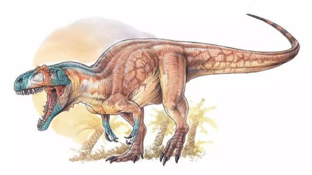 维氏阿斯法托猎龙9目前已经命名的来自乔里略组地层的恐龙包括了大型