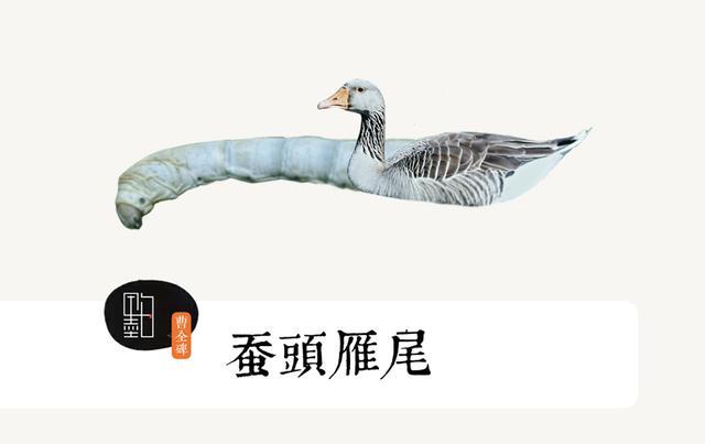 蚕头雁尾是一种装饰性的横画写法,也是隶书最具代表性的笔法.