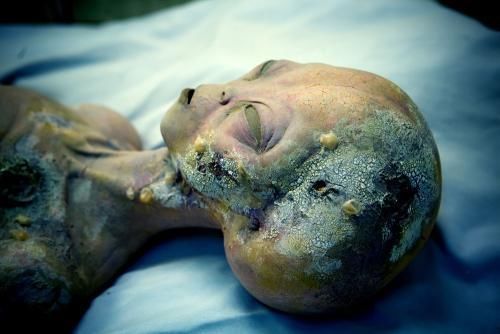 亚马逊雨林发现"类人生物",身高不足1米,科学家:不属于地球