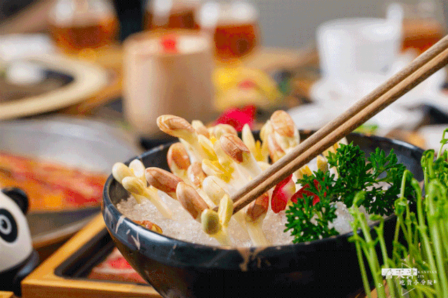 涮过豆芽,花生芽涮过没?