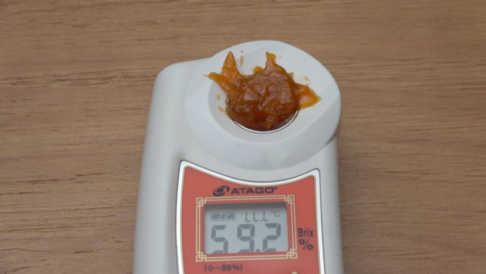 富平除了柿饼外 还有一颗千年柿子树 腾讯新闻