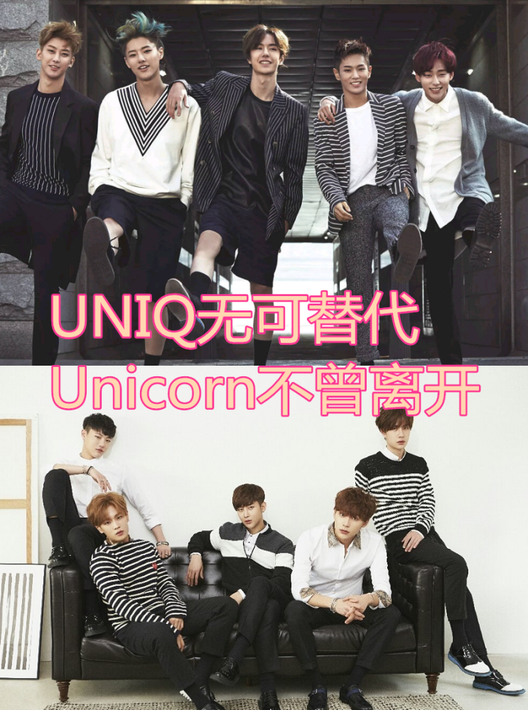 uniq组合每人应援色图片