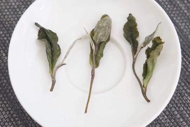 为什么银针的汤色很淡？