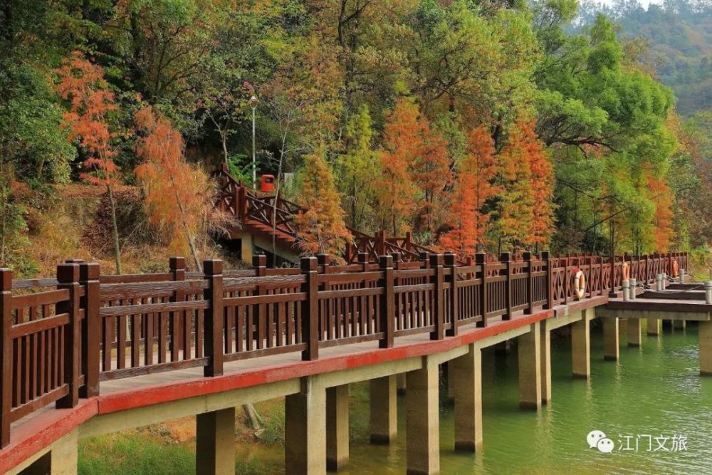 江門石澗公園等28個城市公園重新開放