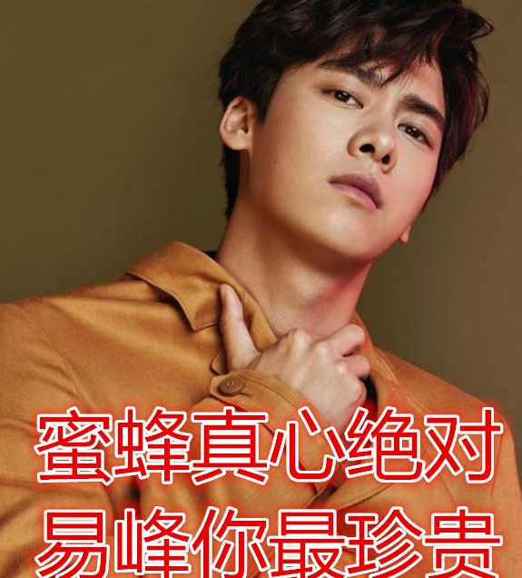 爱豆应援口号有多优秀李易峰迪丽热巴押韵哪家最吸引你