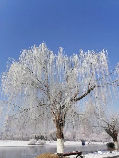 禹城啊,想不到,你還是這樣的