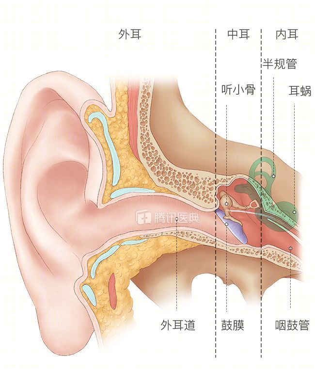 耳朵里面经常痒痒的 却什么也掏不出 或许是这4个原因在作祟 腾讯新闻