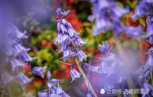 哪些星座从1月11日好运袭来 欢喜过新年呢 腾讯新闻
