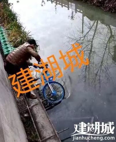 小藍車在建湖頻頻受到傷害!竟扔進河裡?