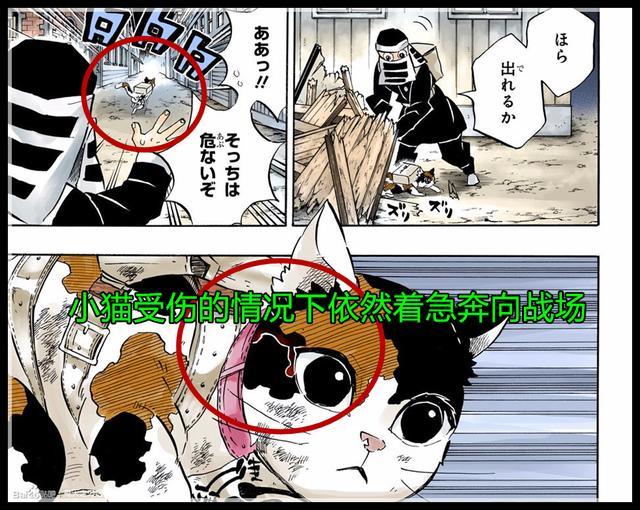 鬼灭之刃 情报解读 作者公布隐藏设定 牺牲的小猫平时认为愈史郎很烦 腾讯新闻