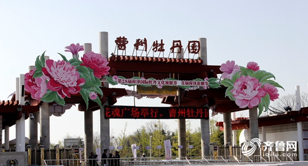 曹州牡丹甲天下 万紫千红汇一园