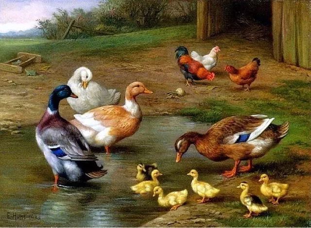 院子里的家禽，英国画家埃德加·亨特