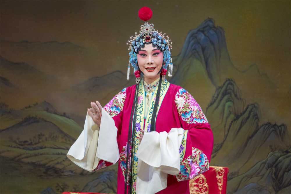 观戏记录京剧安国夫人