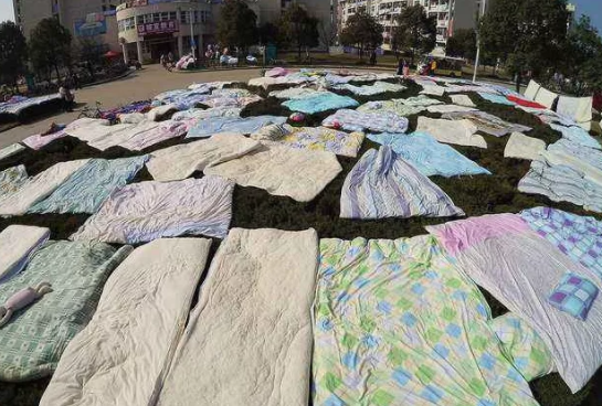 晒被子一样,在校园里面找到了很大一块空地,将他们的被子都扔在了那里
