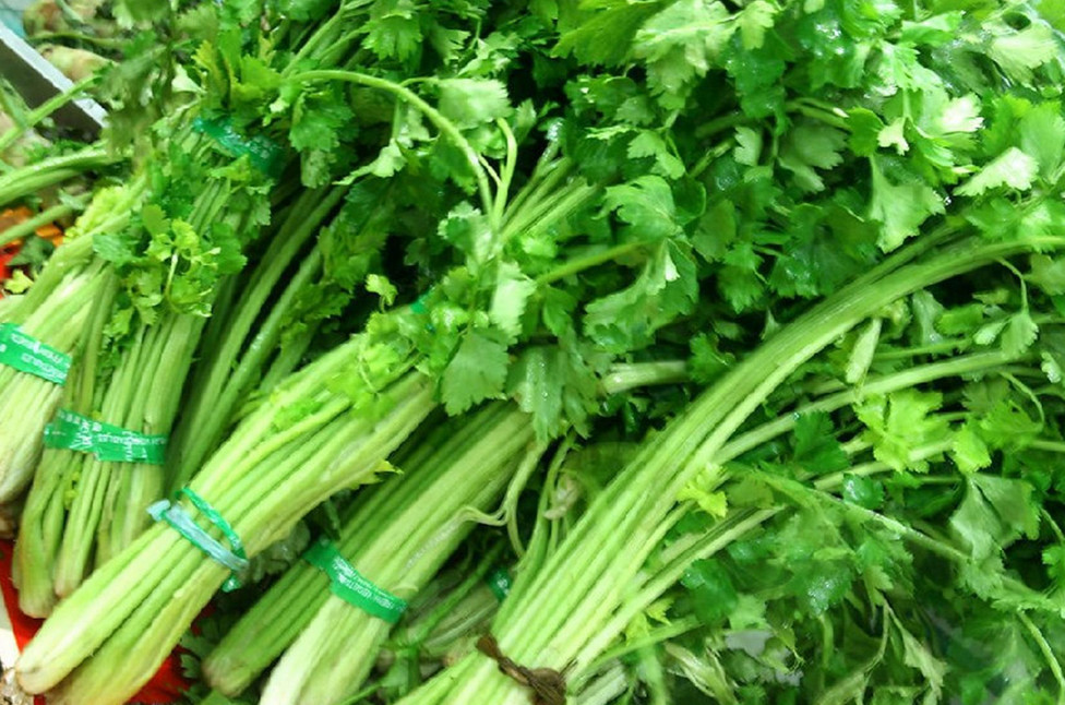 吃什么蔬菜最下奶,哺乳期妈妈一定要知道