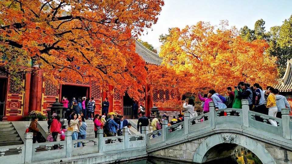 北京秋天賞楓勝地,景區人山人海,遊客:除了門票,其它都不便宜