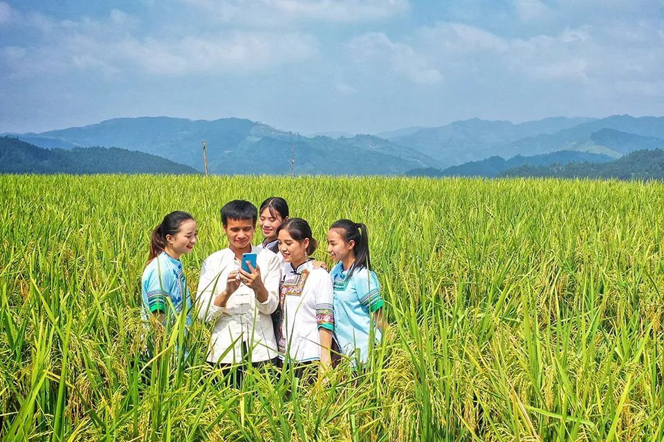 新农民从传统农民转变为专业化的职业农民职业农民是双重身份