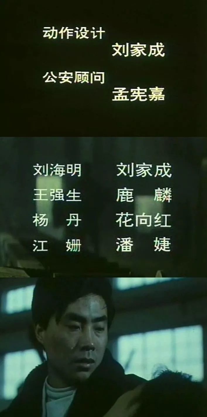 他参演过《杀手情》《银蛇谋杀案》等众多影片,还在1992年的《劫杀