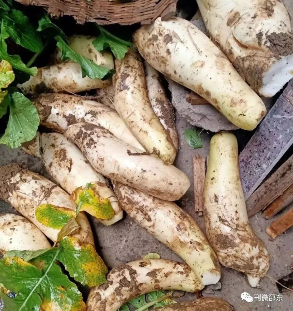 邵东佘田桥的美食真多啊!走起,一起到佘