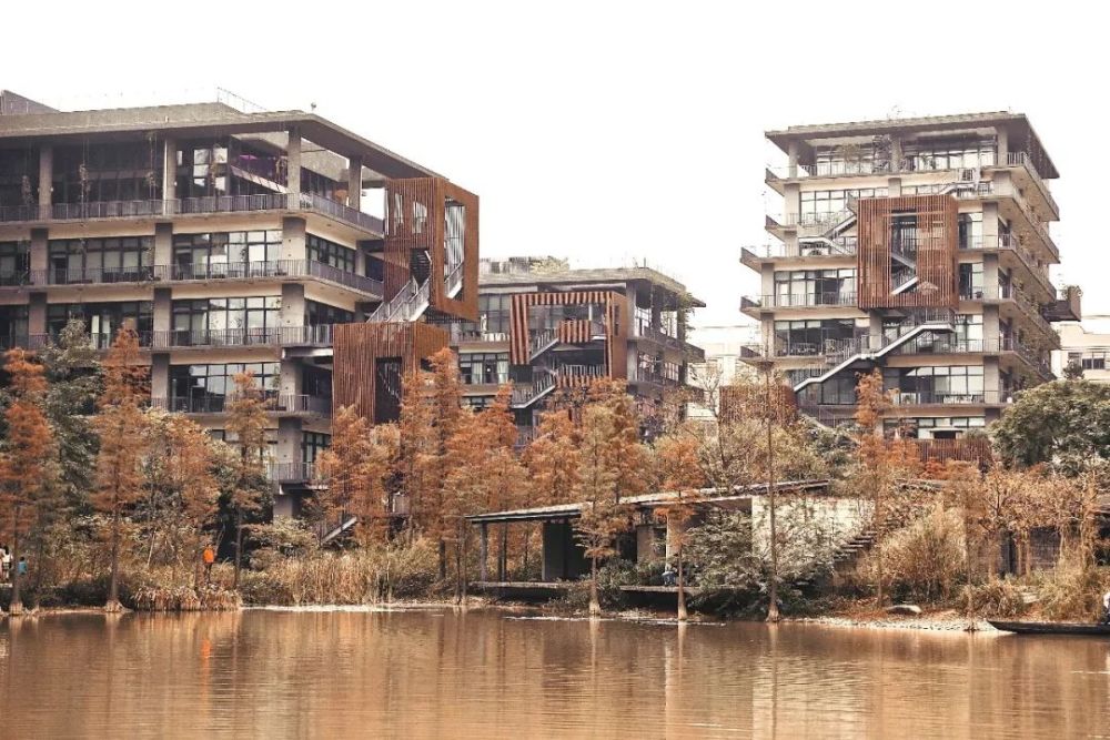 梧桐岛物物诗情处处画意