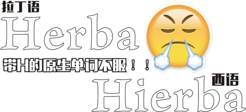 西语里的h为啥是哑巴 被谁禁言的 他的爹娘是谁 五分钟西班牙冷知识 腾讯新闻