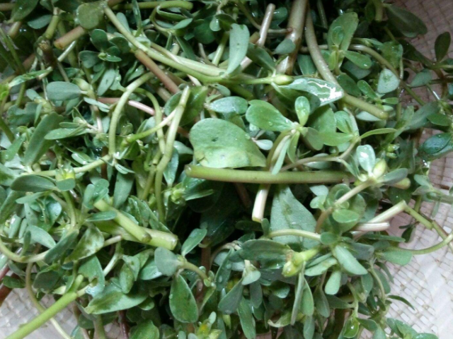 这4物是天然"消炎药",女人隔三差五吃两口,妇科炎症或不药而愈