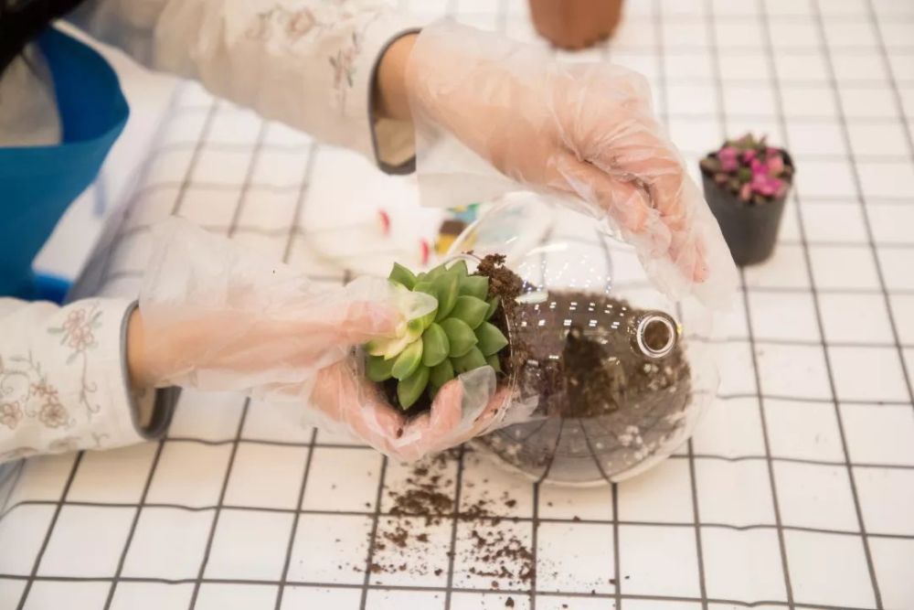 你记忆里,最有年味儿的事情是什么?