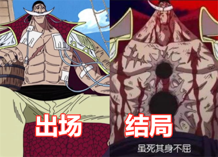 海贼王中的"意难平",白胡子,艾斯之死不算啥,被暴君熊虐哭!