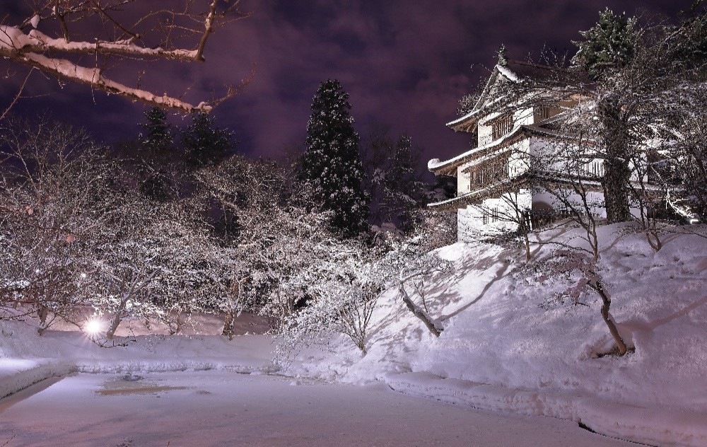 在弘前城雪灯笼祭看一场雪樱花 腾讯新闻