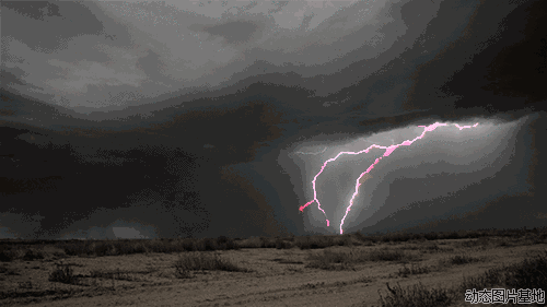 广西|雷州市|湛江|雷公墨|雷州半岛|中科院