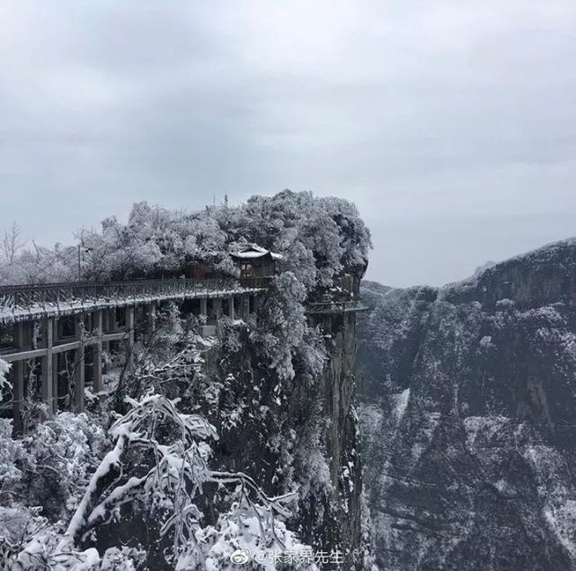 雪景來來來想想是不是很激動看到美景12月25日凌晨開始張家界天門山飄