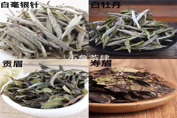 如何区别贡眉与寿眉这对"孪生兄弟"?