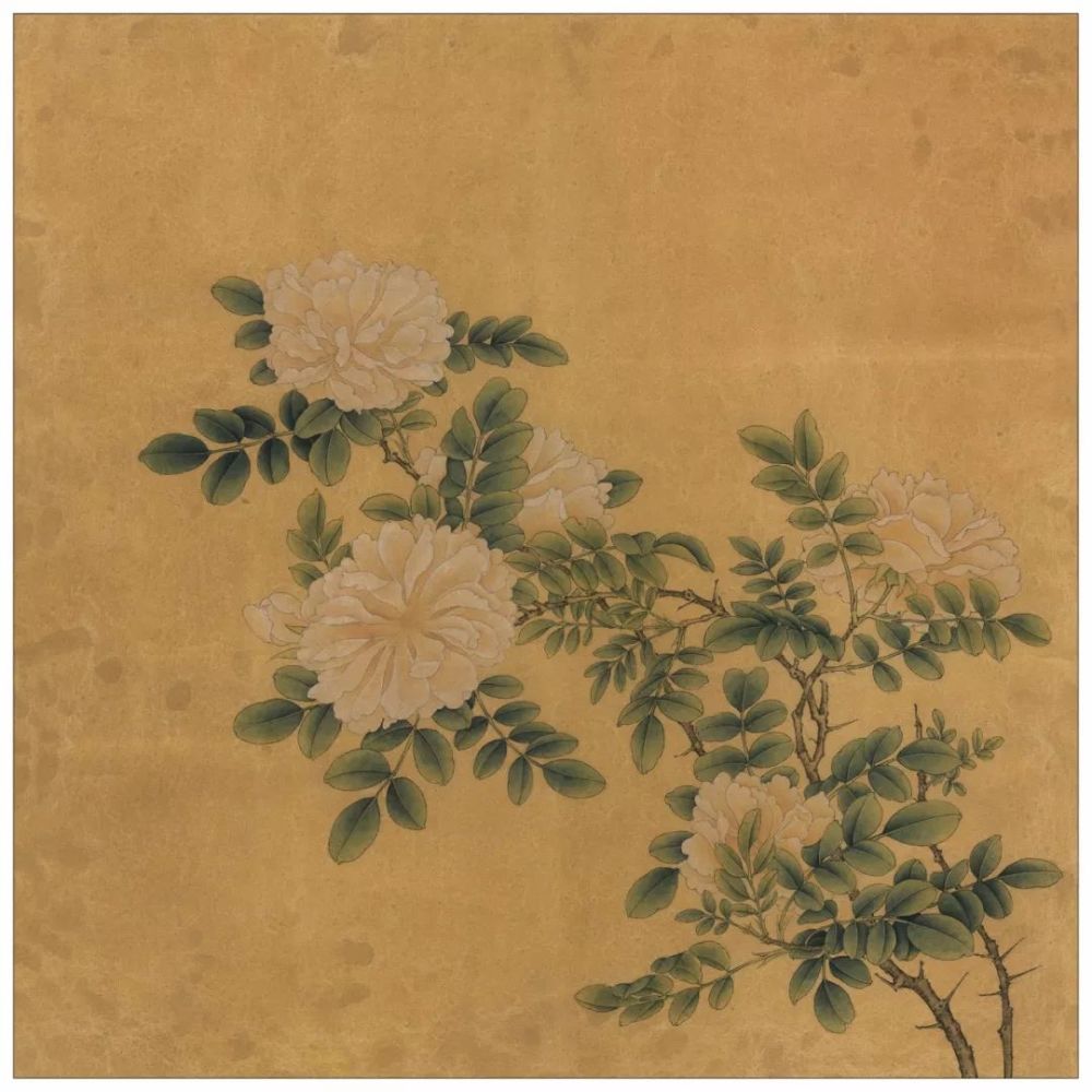 临宋画工笔 白蔷薇图 绘制步骤 腾讯新闻