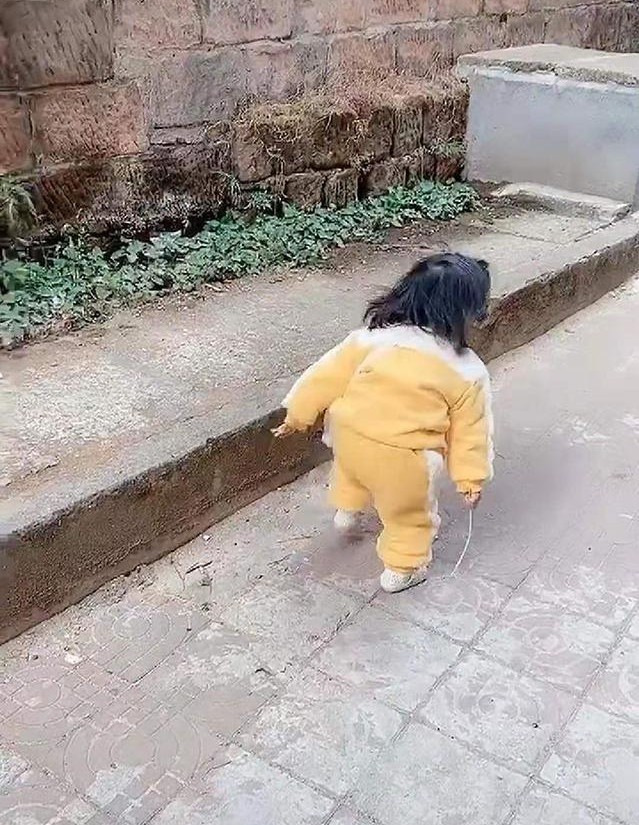 宝宝走路弯腰驼背,妈妈吓一跳,走近一看恍然大悟,网友:专业_腾讯新闻