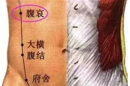 腹哀穴消化不良腹痛