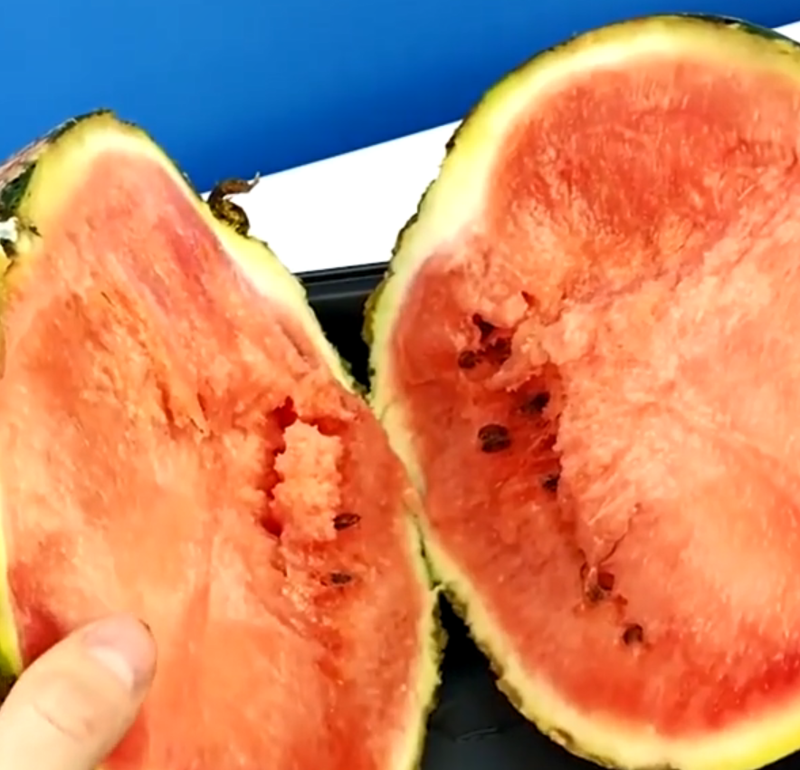 食物放在冰箱里可以保鲜多久?西瓜在冷冻室放了一年,在切开后惊了!