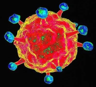 什么是急性淋巴细胞白血病?
