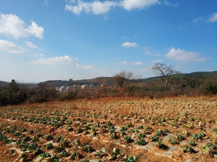 昆明长水村图片