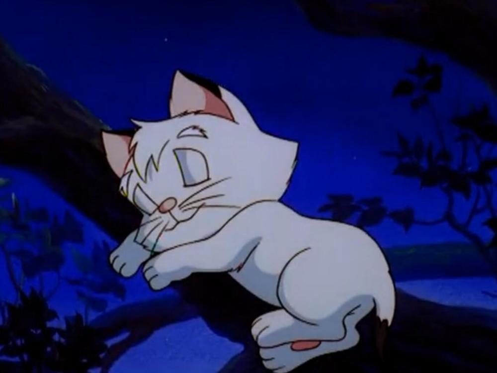 动漫时光机:谁还记得这部讲"猫"的动画?小时候差点看哭