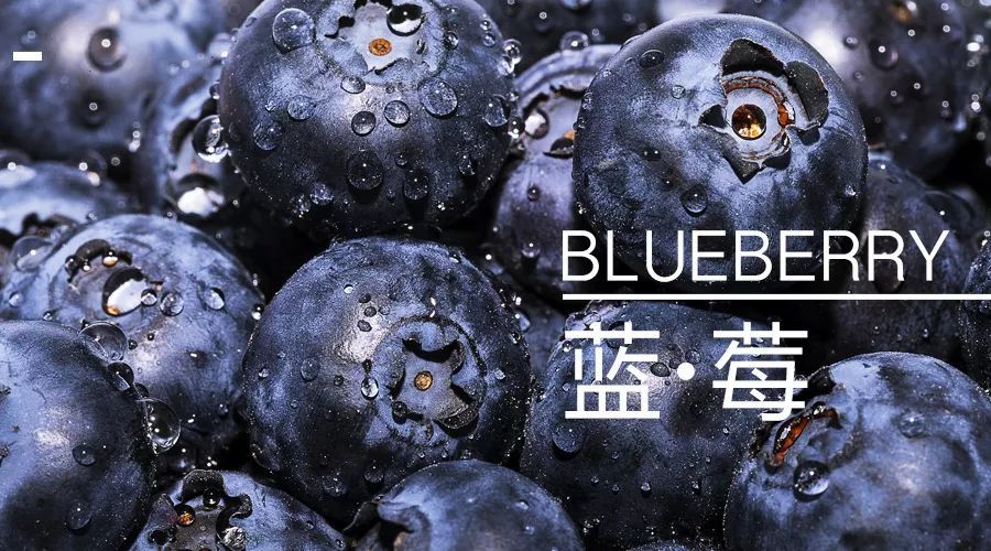 蓝莓用英语怎么说图片